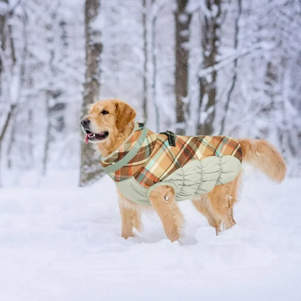 Warm Dog Winter Coat Size: Large